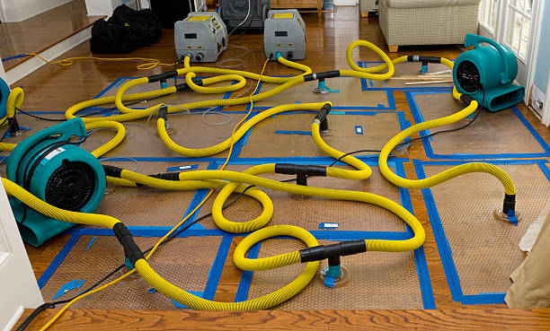 Professional Crawl Space Water Removal technician working in Ayr, ND